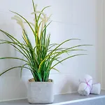 Apartment Emilia Lofts Tucepi