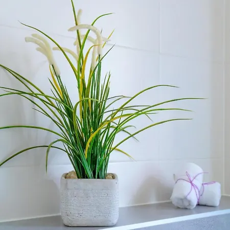 Apartament Emilia Lofts Tučepi